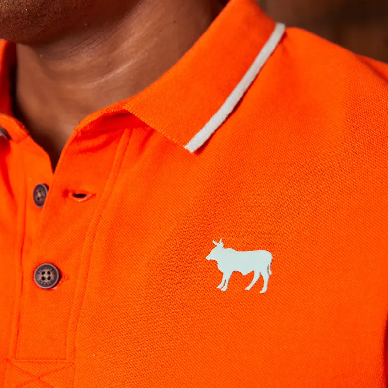 Modern Maverick Pop Polo Naartjie